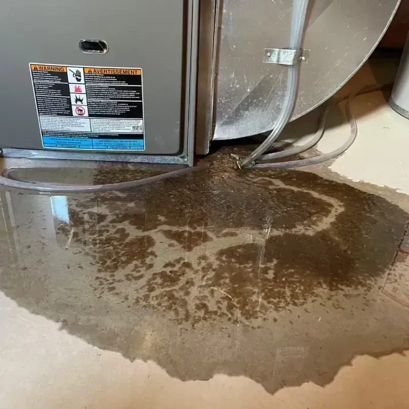 Appliance Leak Cleanup in Harlingen, TX